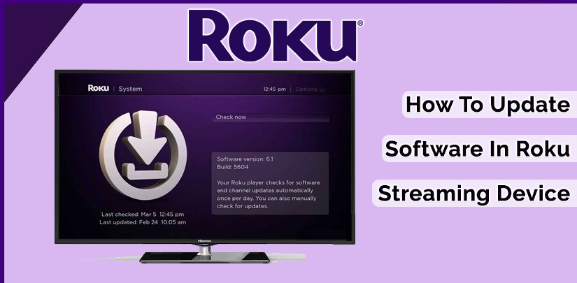 How To Update Software In Roku Streaming Device? Learn And Support