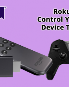 Roku Voice Search: Control Your Streaming Device Through Voice?